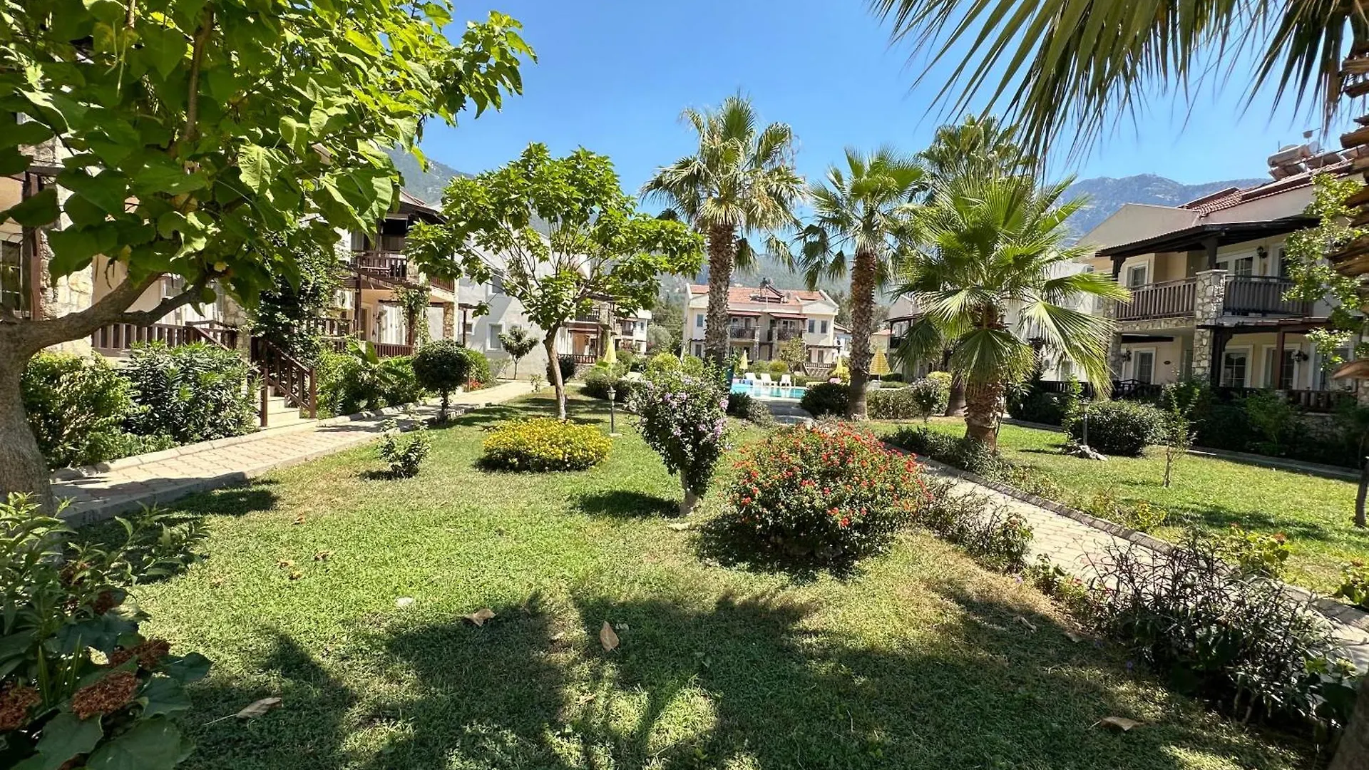 Grena Delux Pool Side Daire Fethiye