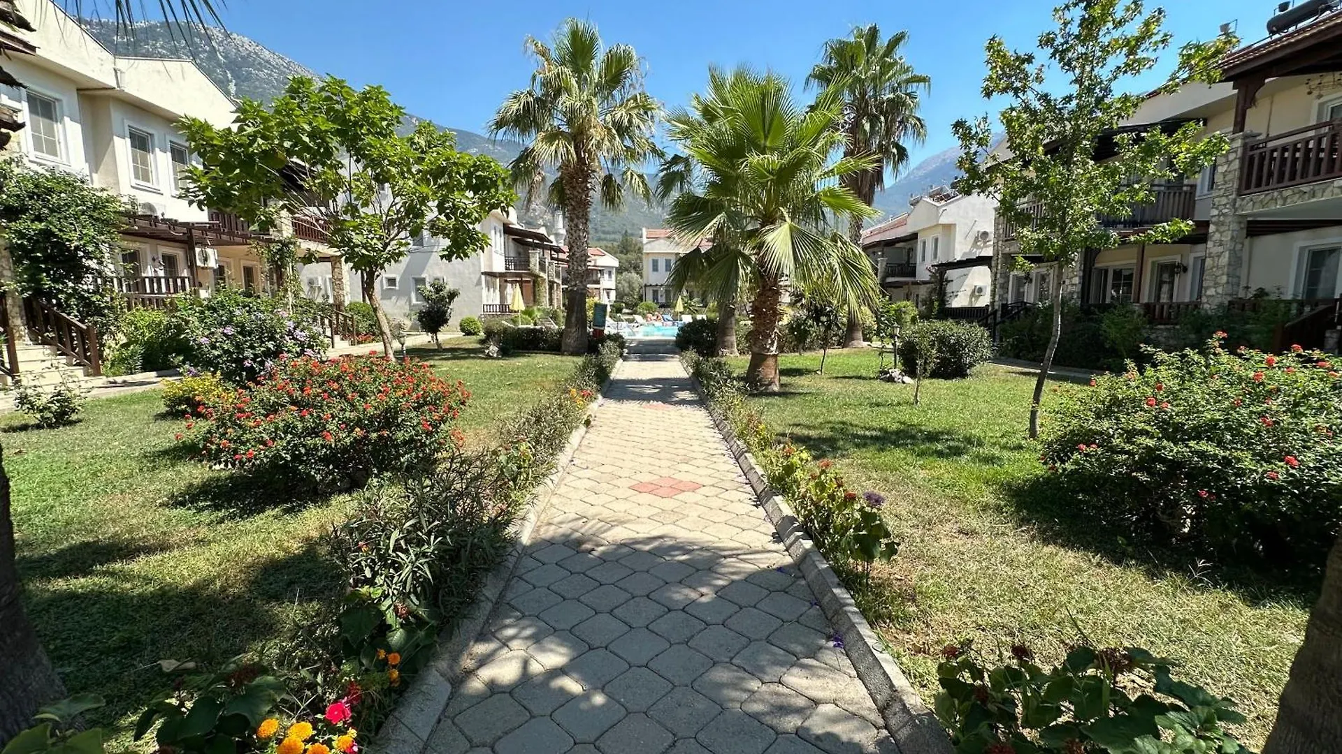 Grena Delux Pool Side Daire Fethiye